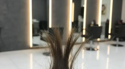 موخوره امان‌تان را بریده؟ راز رهایی دائمی از موهای دوشاخه، فراتر از کوتاهی و موخوره‌تراپی!